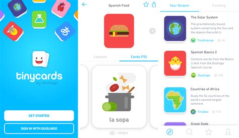 duolingo smart cards|Duolingo tiny cards.